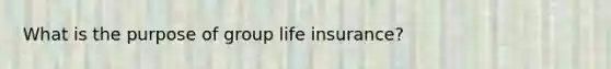 What is the purpose of group life insurance?