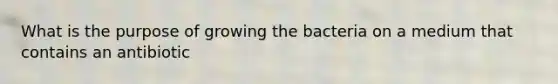 What is the purpose of growing the bacteria on a medium that contains an antibiotic