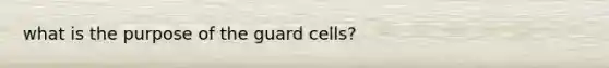 what is the purpose of the guard cells?