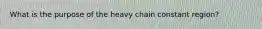 What is the purpose of the heavy chain constant region?