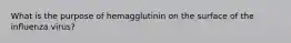 What is the purpose of hemagglutinin on the surface of the influenza virus?