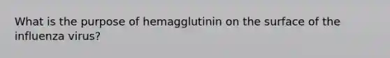 What is the purpose of hemagglutinin on the surface of the influenza virus?