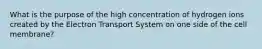 What is the purpose of the high concentration of hydrogen ions created by the Electron Transport System on one side of the cell membrane?