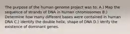 The purpose of the human genome project was to: A.) Map the sequence of strands of DNA in human chromosomes B.) Determine how many different bases were contained in human DNA C.) identify the double helix, shape of DNA D.) Verify the existence of dominant genes.