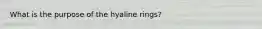 What is the purpose of the hyaline rings?