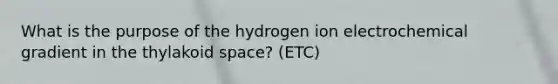 What is the purpose of the hydrogen ion electrochemical gradient in the thylakoid space? (ETC)