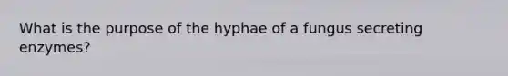 What is the purpose of the hyphae of a fungus secreting enzymes?