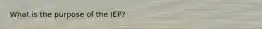 What is the purpose of the IEP?