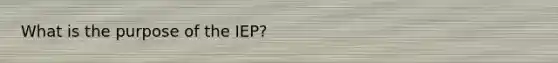 What is the purpose of the IEP?