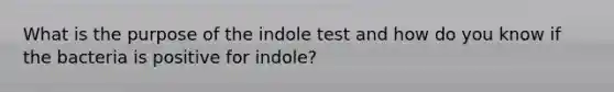 What is the purpose of the indole test and how do you know if the bacteria is positive for indole?