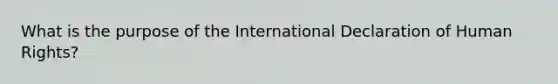 What is the purpose of the International Declaration of Human Rights?