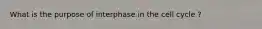 What is the purpose of interphase in the cell cycle ?