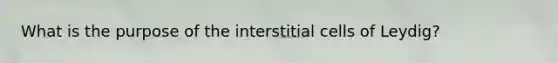 What is the purpose of the interstitial cells of Leydig?