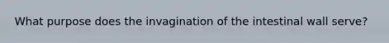 What purpose does the invagination of the intestinal wall serve?