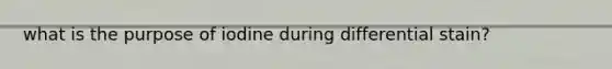 what is the purpose of iodine during differential stain?