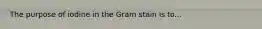 The purpose of iodine in the Gram stain is to...