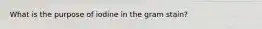 What is the purpose of iodine in the gram stain?
