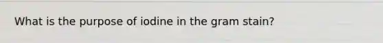 What is the purpose of iodine in the gram stain?