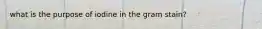 what is the purpose of iodine in the gram stain?