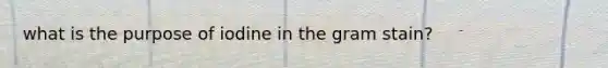 what is the purpose of iodine in the gram stain?