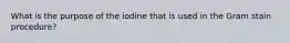 What is the purpose of the iodine that is used in the Gram stain procedure?