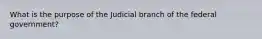 What is the purpose of the Judicial branch of the federal government?