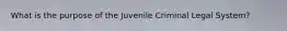 What is the purpose of the Juvenile Criminal Legal System?