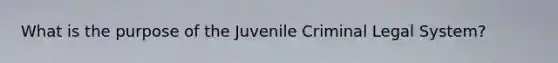 What is the purpose of the Juvenile Criminal Legal System?