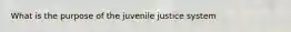 What is the purpose of the juvenile justice system