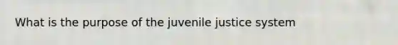 What is the purpose of the juvenile justice system