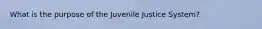 What is the purpose of the Juvenile Justice System?