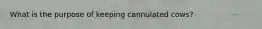 What is the purpose of keeping cannulated cows?