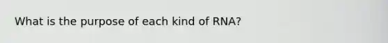 What is the purpose of each kind of RNA?