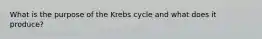 What is the purpose of the Krebs cycle and what does it produce?