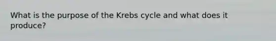 What is the purpose of the Krebs cycle and what does it produce?