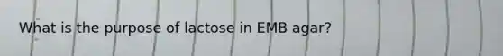 What is the purpose of lactose in EMB agar?