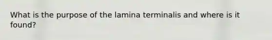 What is the purpose of the lamina terminalis and where is it found?