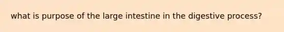 what is purpose of the large intestine in the digestive process?