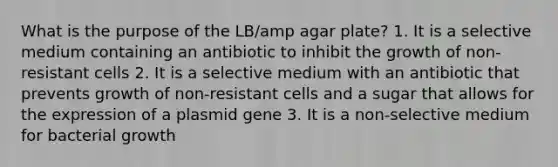 What is the purpose of the LB/amp agar plate? 1. It is a selective medium containing an antibiotic to inhibit the growth of non-resistant cells 2. It is a selective medium with an antibiotic that prevents growth of non-resistant cells and a sugar that allows for the expression of a plasmid gene 3. It is a non-selective medium for bacterial growth