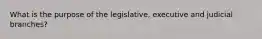 What is the purpose of the legislative, executive and judicial branches?