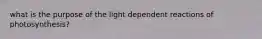 what is the purpose of the light dependent reactions of photosynthesis?