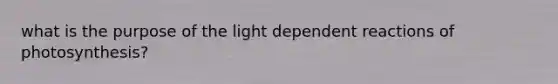 what is the purpose of the light dependent reactions of photosynthesis?