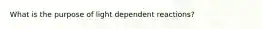 What is the purpose of light dependent reactions?