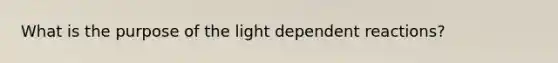 What is the purpose of the light dependent reactions?