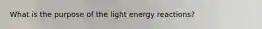 What is the purpose of the light energy reactions?