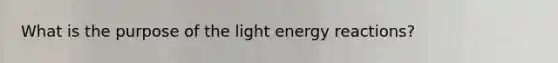 What is the purpose of the light energy reactions?