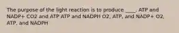 The purpose of the light reaction is to produce ____. ATP and NADP+ CO2 and ATP ATP and NADPH O2, ATP, and NADP+ O2, ATP, and NADPH