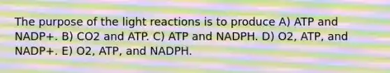 The purpose of the light reactions is to produce A) ATP and NADP+. B) CO2 and ATP. C) ATP and NADPH. D) O2, ATP, and NADP+. E) O2, ATP, and NADPH.