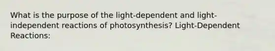 What is the purpose of the light-dependent and light-independent reactions of photosynthesis? Light-Dependent Reactions: