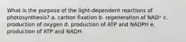 What is the purpose of the light-dependent reactions of photosynthesis? a. carbon fixation b. regeneration of NAD⁺ c. production of oxygen d. production of ATP and NADPH e. production of ATP and NADH